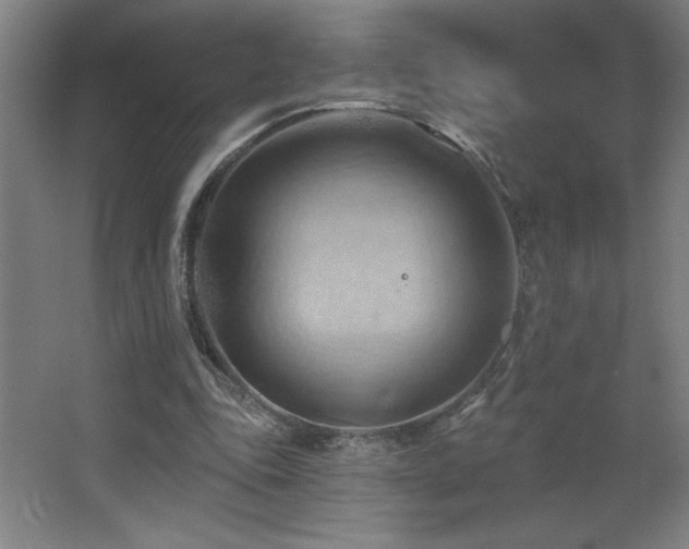 X0000068740343200604281145