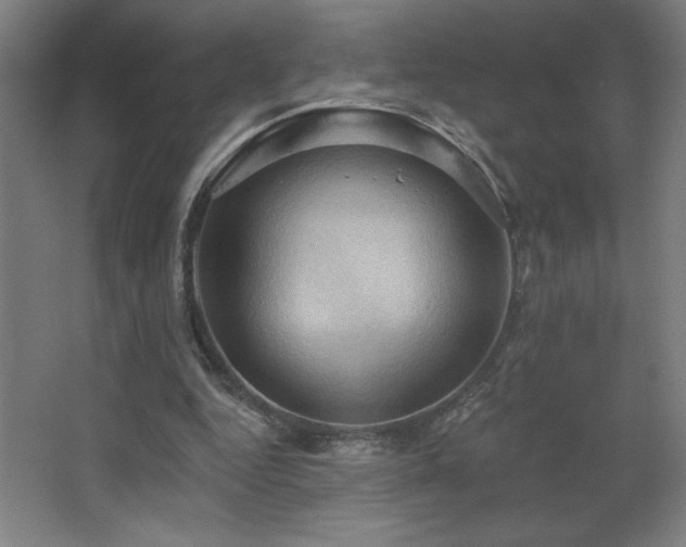 X0000068740344200604281145