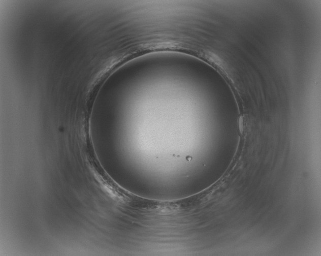 X0000068740345200604281145