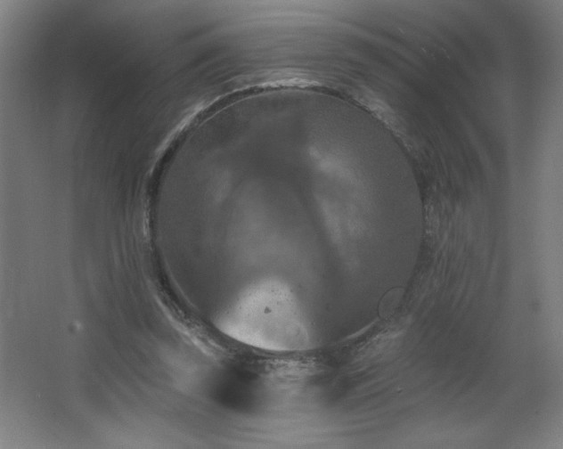 X0000068740347200604281145