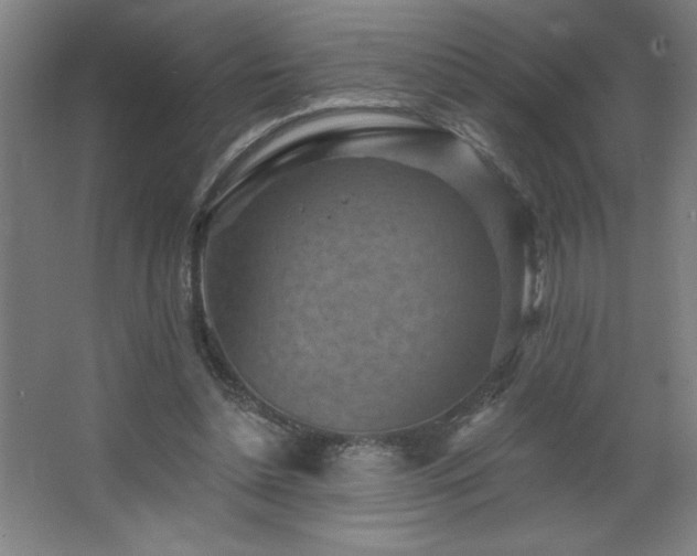 X0000068740348200604281145