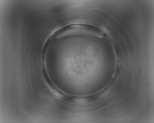 X0000068740349200604281145