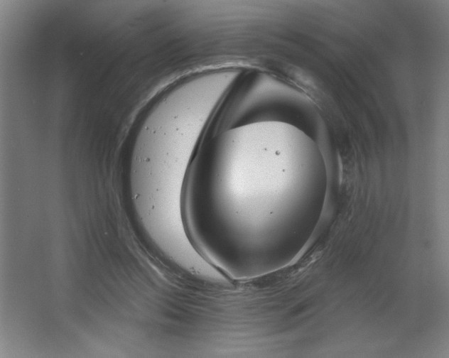 X0000068740350200604281145