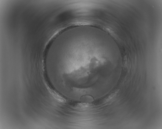 X0000068740351200604281145