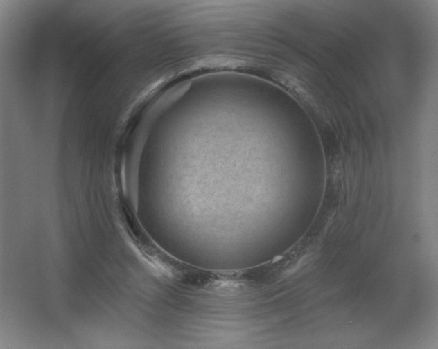 X0000068740352200604281145