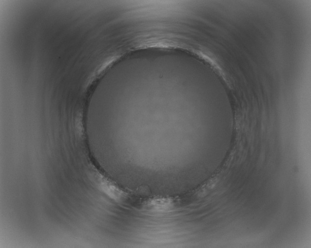 X0000068740353200604281145