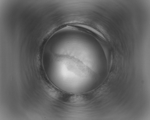 X0000068740354200604281145