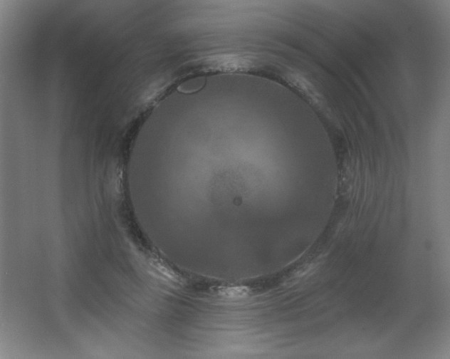 X0000068740355200604281145