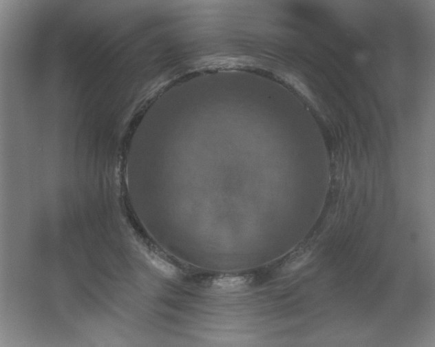 X0000068740357200604281145