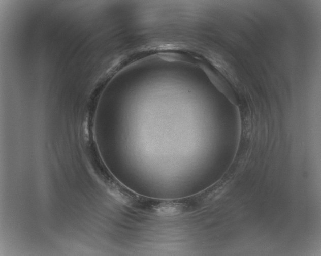 X0000068740358200604281145