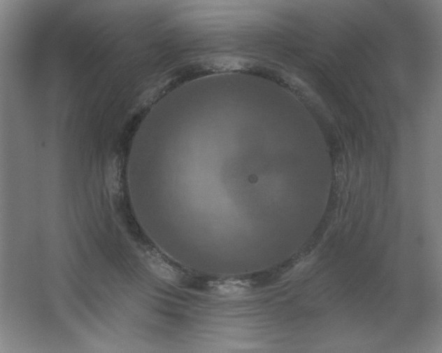 X0000068740359200604281145