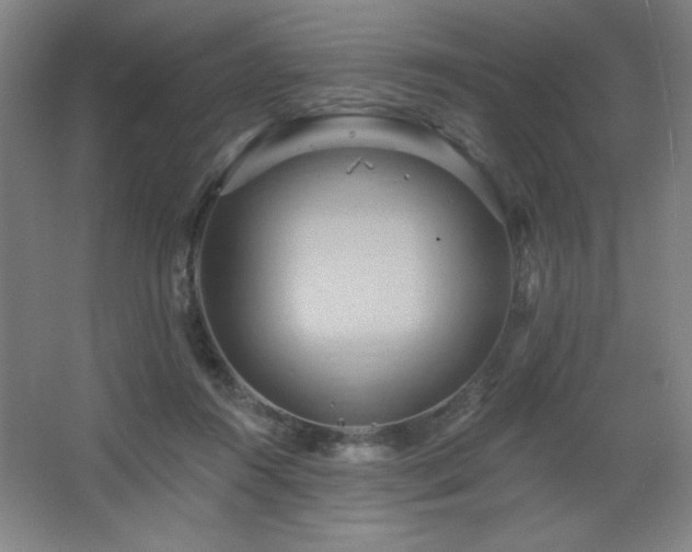 X0000068740360200604281145