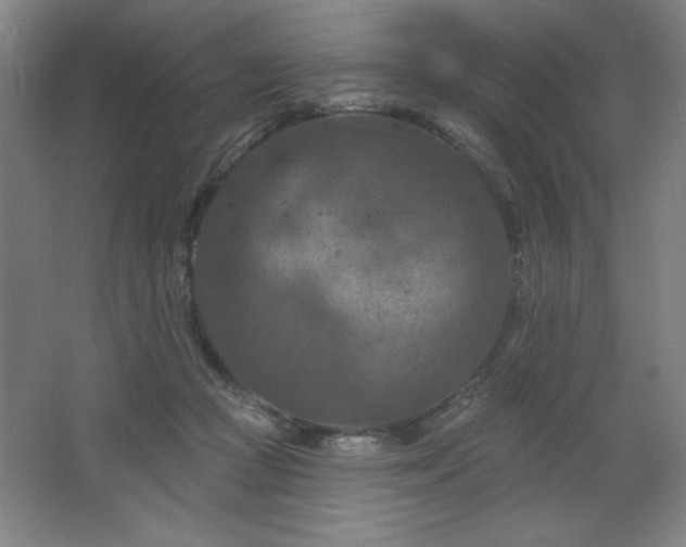 X0000068740361200604281145