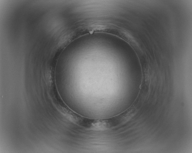 X0000068740362200604281145