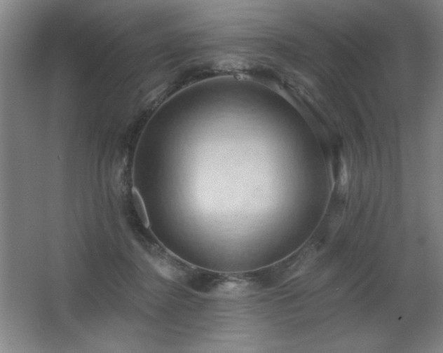 X0000068740364200604281145