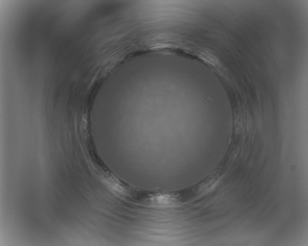 X0000068740365200604281145