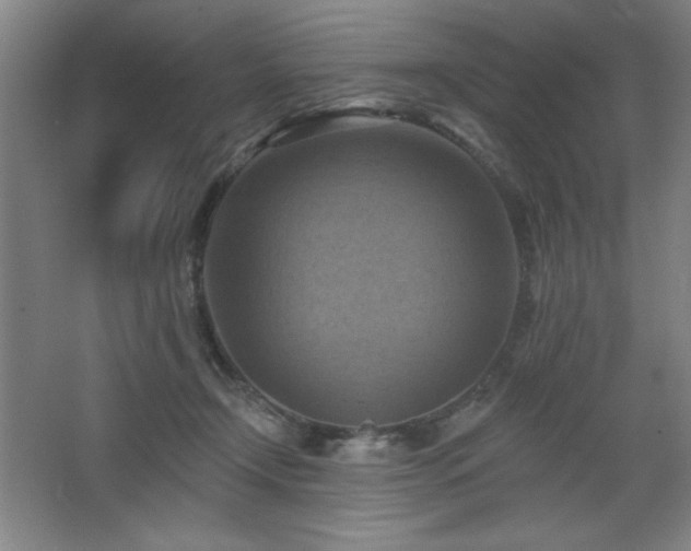 X0000068740366200604281145