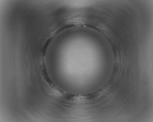 X0000068740367200604281145