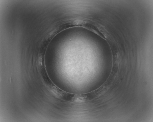 X0000068740368200604281146