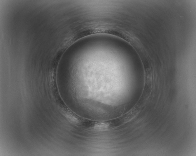 X0000068740369200604281146