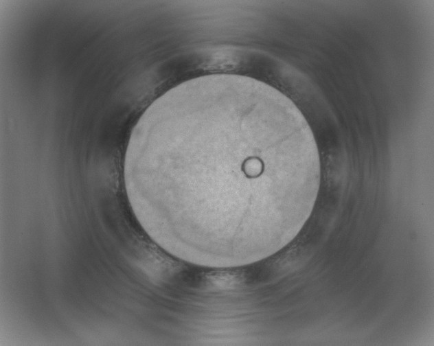 X0000068740370200604281146