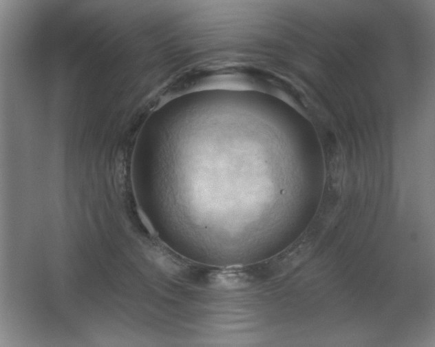 X0000068740372200604281146