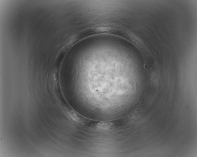 X0000068740373200604281146