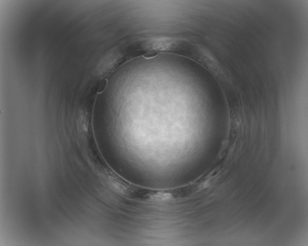 X0000068740374200604281146