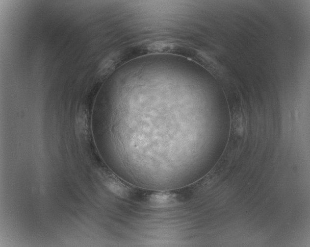 X0000068740375200604281146