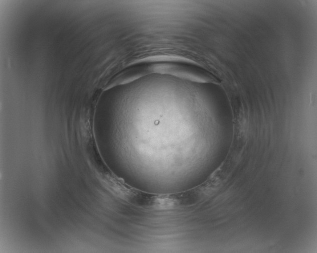 X0000068740376200604281146