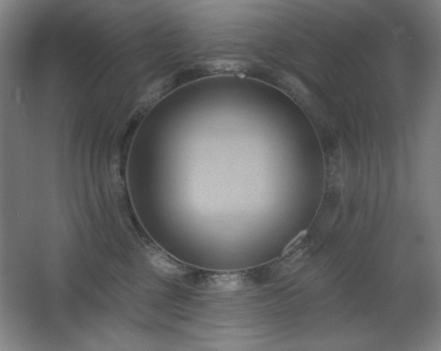 X0000068740377200604281146