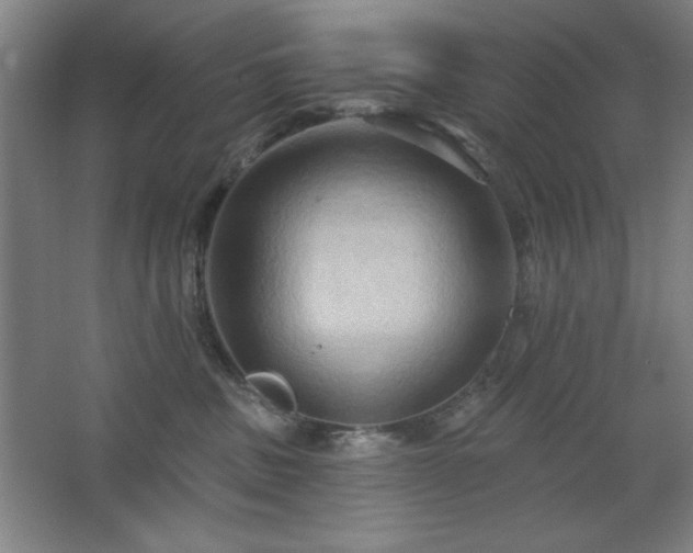 X0000068740379200604281146