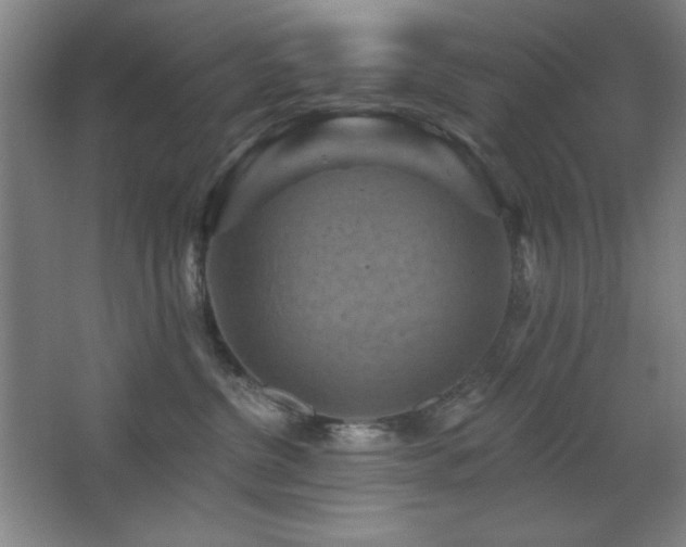 X0000068740380200604281146