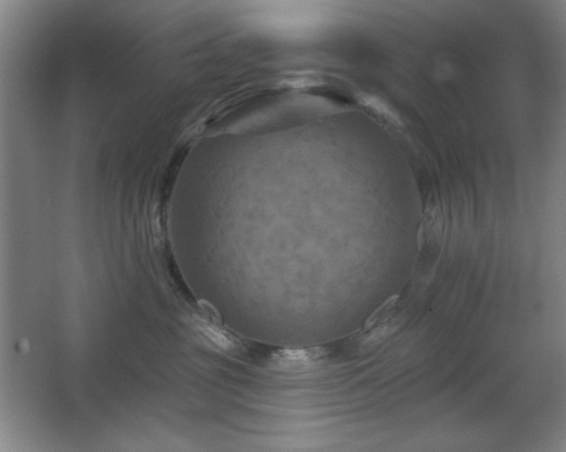 X0000068740381200604281146