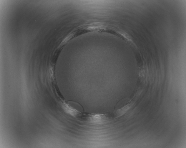 X0000068740382200604281146