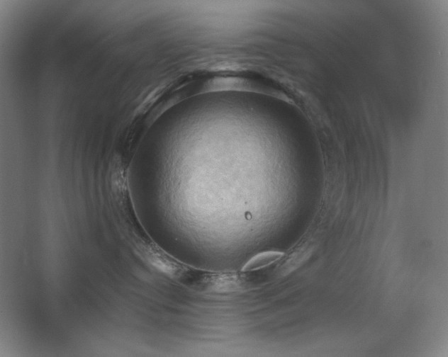 X0000068740384200604281146