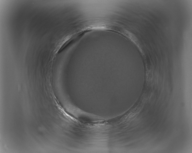 X0000068740385200604281145