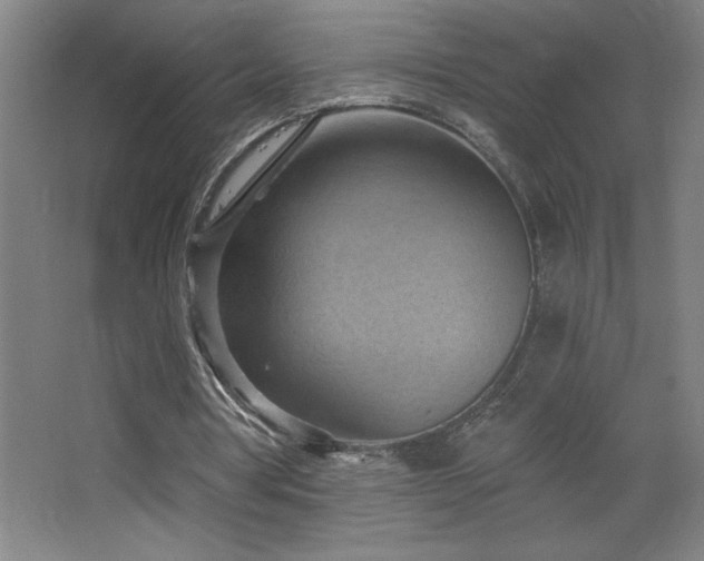 X0000068740386200604281145