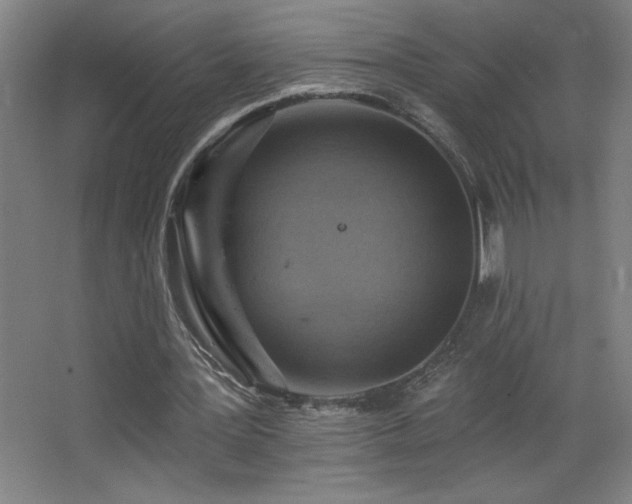 X0000068740387200604281145