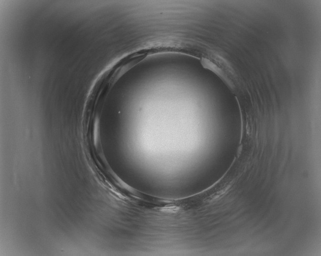 X0000068740388200604281145