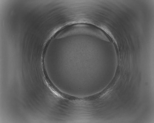 X0000068740389200604281145