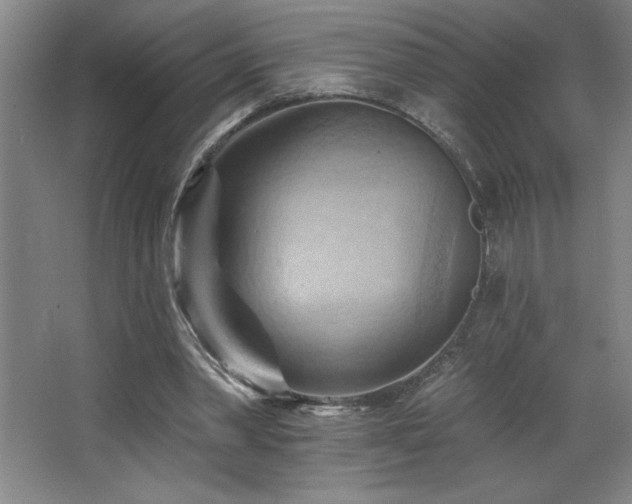 X0000068740390200604281145