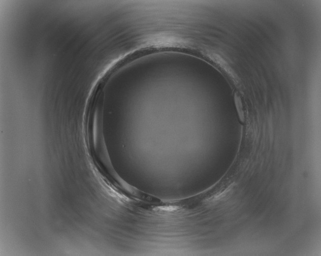 X0000068740391200604281145