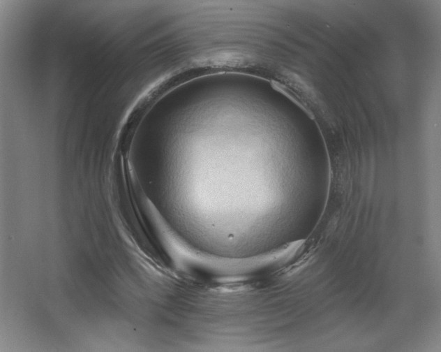 X0000068740392200604281145