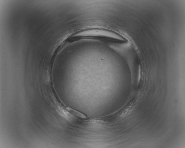 X0000068740393200604281145