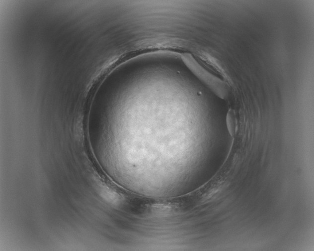 X0000068740394200604281145