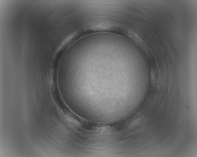 X0000068740396200604281145