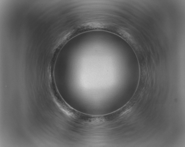 X0000068740398200604281145