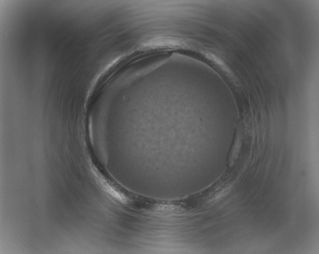 X0000068740399200604281145