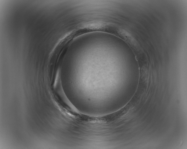 X0000068740400200604281145